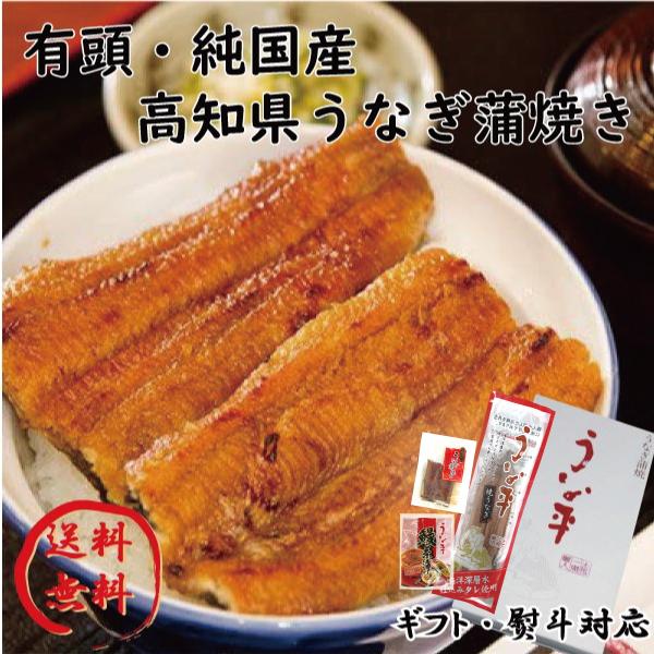 土用の丑の日　高知　国産　鰻　蒲焼　食べ比べセット　贈り物 ギフト 内祝 御歳暮 御中元 高知　特産品