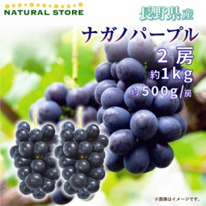 [最短順次発送]   ナガノパープル 2房 約1kg ぶどう 約500g房 x 長野県産 秋ギフト  果実ギフト