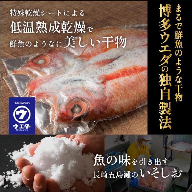 九州 お取り寄せ 干物 ひもの 食べ比べ 豪華 魚 お歳暮 ギフト 贈答 おつまみ 帰省暮 添加物不使用 無添加