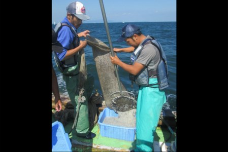 訳あり ちりめん 1kg しらす干し 産地直送 冷蔵 ちりめんじゃこ 魚介 乾物 大人気ちりめん 人気ちりめん 小分けちりめん 小分けチリメン おつまみちりめん おつまみチリメン 絶品ちりめん 絶品チリメン ちりめん