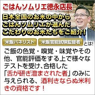 新米 令和5年産(2023年) 栃木県産 なすひかり 精選玄米（24kg｜2kg×12袋）