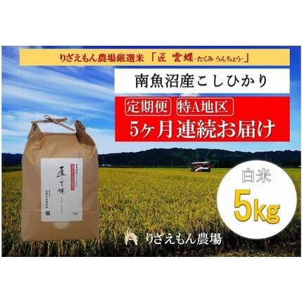 ふるさと納税 令和５年産　南魚沼産コシヒカリ　白米5kg＼生産農家直送／ 新潟県南魚沼市