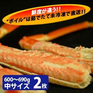 松葉がに（松葉蟹）600〜690g（中サイズ）×2枚 日本海産 未冷凍 お歳暮ギフト 送料無料（北海道・沖縄を除く）