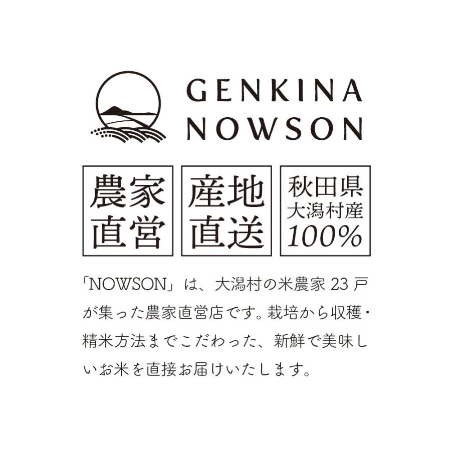 新米出荷開始！令和5年産 秋田県産  スノーパール 20kg(5kg×4袋) ★選べる精米★