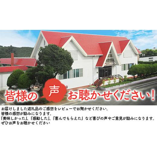 ふるさと納税 宮崎県 日向市 美味新鮮 フランクフルトソーセージ(280g×10個) [南日本ハム 宮崎県 日向市 452060191]