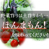 ＜アスカ有機農園＞旬の京野菜セットS＊毎月お届け全６回