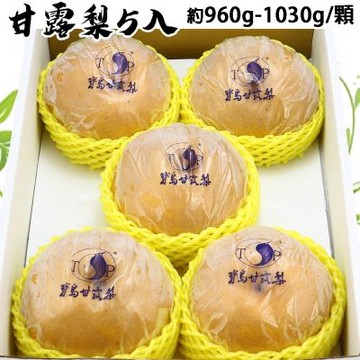 愛蜜果 台灣寶島甘露梨/水梨5顆禮盒(約8斤/盒)