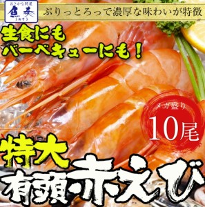 赤海老 天然 有頭 特大サイズ 10尾 赤えび  赤エビ 送料無料 バーベキュー お試し セット BBQ 食材 業務用 食品 おかず お歳暮 おせち