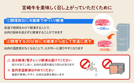 宮崎牛 特上 ロース ステーキ 600g (300g×2枚) 真空包装 牛肉 小分け A4等級以上 牛肉 黒毛和牛 牛肉 焼肉 ステーキ BBQ バーベキュー ロース ステーキ 牛肉 キャンプ サシ 霜降り ステーキ 贅沢 ブランド 宮崎 牛 とろける 牛肉 柔らかい 牛肉 やわらかい ステーキ 牛肉 ジューシー ステーキ丼 牛肉 予約 定期 牛肉 ロース ステーキ