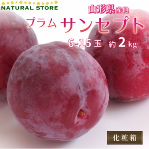 [予約 2023年9月1日-10月30日の納品] プラム すもも サンセプト 約2kg 6-15玉 山形県産ほか  プラム 果実専用化粧箱 秋ギフト  果実ギフ