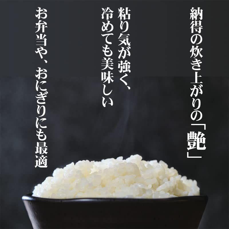 当日精米山形県産 はえぬき 30kg 紙袋 令和4年度産 (3分づき 29.1kg×1袋)