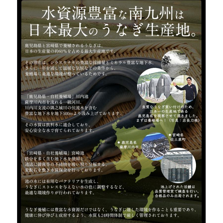 うなぎ 蒲焼き 国産 ひつまぶし 刻み 80g×10袋 きざみうなぎ ウナギ 鰻 冬グルメ 冬ギフト