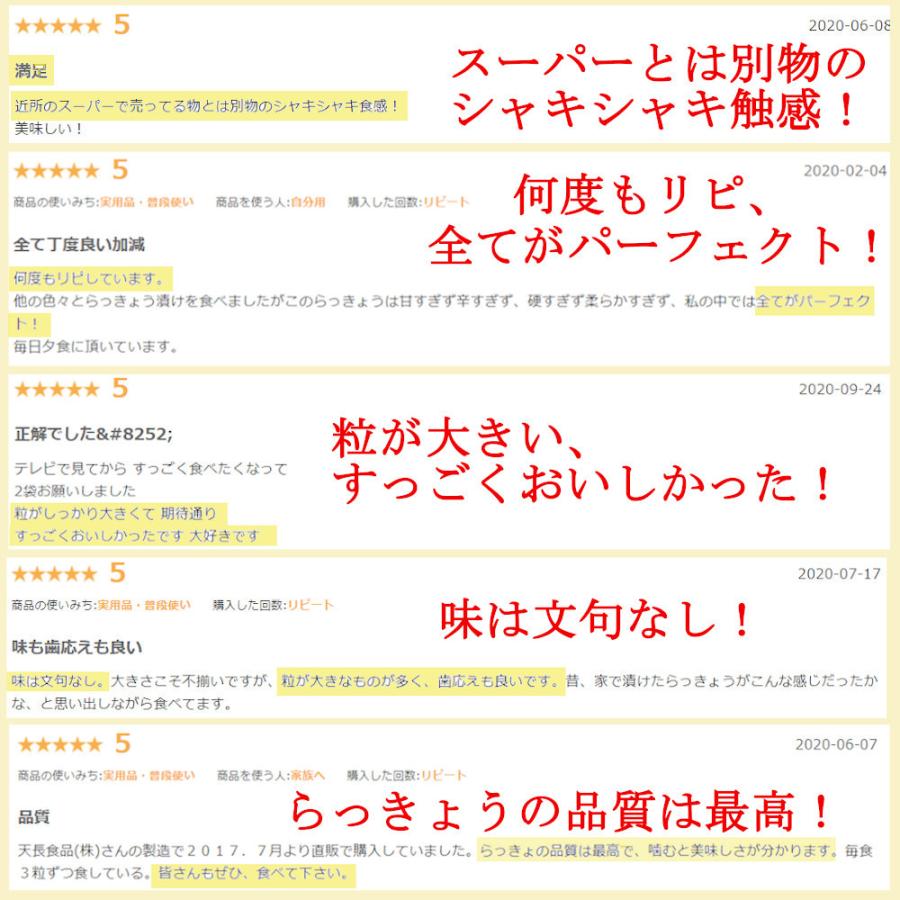 らっきょう 国産 190gx2袋 無添加 低温熟成 鳥取 ふぞろい らっきょう漬け ラッキョウ漬け 甘酢漬け 送料無料