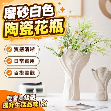 磨砂白色陶瓷花瓶擺件客廳插花輕奢高級感水養花複古創意花器 花瓶 插花瓶 玻璃花瓶 擺飾 韓系花瓶 花器陶瓷 陶瓷花器
