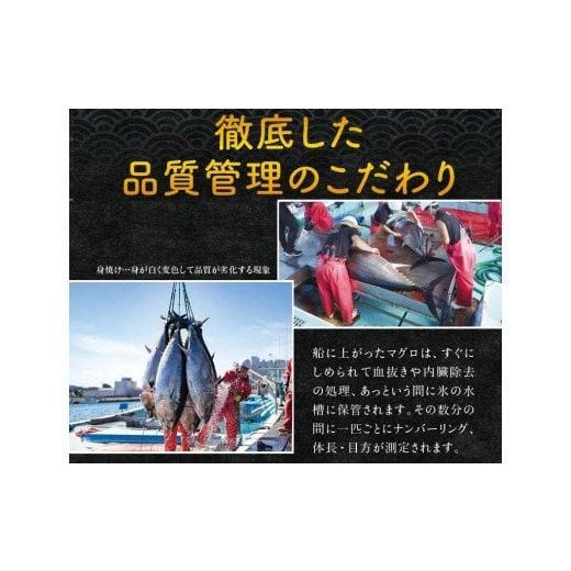 ふるさと納税 和歌山県 すさみ町 本マグロ（養殖）トロ＆赤身セット 500g  高級 クロマグロ  中トロ 中とろ  まぐろ マグロ 鮪 刺身 赤身 柵 じゃ…