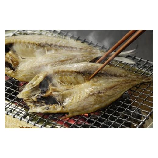 ふるさと納税 三重県 熊野市  干物 熊野干物詰め合わせ 海の恵み D 鯛 サンマ アジ カマス ブリ カワハギ スルメ 人気 干物セット