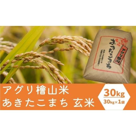 ふるさと納税 秋田県 能代市 秋田県産 あきたこまち 30kg アグリ檜山米 令和5年産