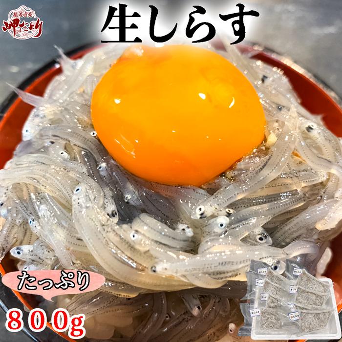 (送料無料) 生しらす (ちりめん) 冷凍８００g（１００g×８袋） (愛知県産)