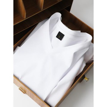 夏天來了 這款屬于男人的t恤，面料涼感透氣絲光棉寬松短袖V領男