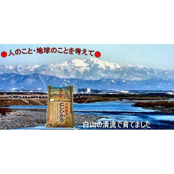 令和5年産新米 無農薬 有機米 こしひかり 食用玄米 2kg 土の詩 JAS認定 自然農法