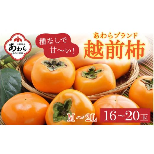 ふるさと納税 福井県 あわら市 越前柿 16〜20玉入 M〜2L 《種なしで食べやすく甘い！》 あわらブランド ／ 期間限定 果物 フルーツ 産地直送 旬 …