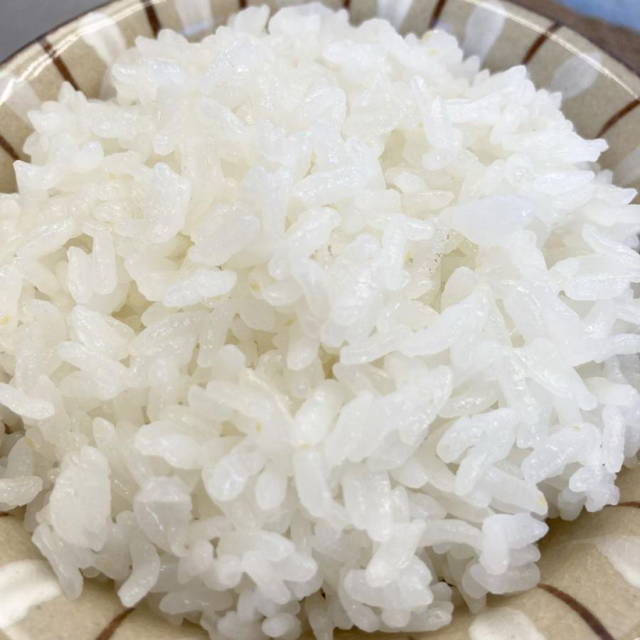 米 新米 5kg 夢つくし 特a 減農薬 減化学肥料栽培 福岡県産 令和5年産