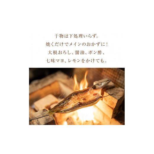 ふるさと納税 富山県 氷見市 一夜干し詰合せ 富山県 氷見市 干物 一夜干し 詰め合わせ 加工食品