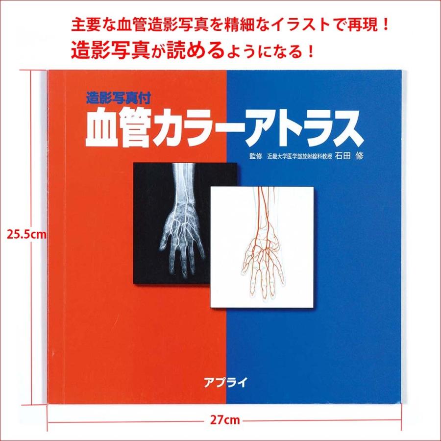 「造影写真付 血管カラーアトラス」解剖学図鑑 医学書籍