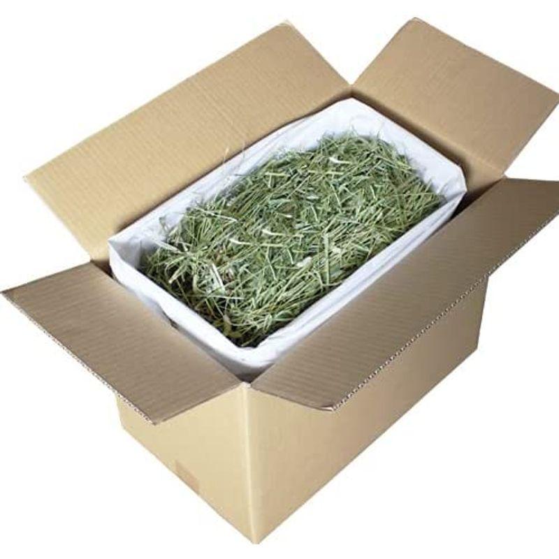 牧草市場 USチモシー 1番刈り 牧草 ダブルプレス 3kg （500g×6パック）