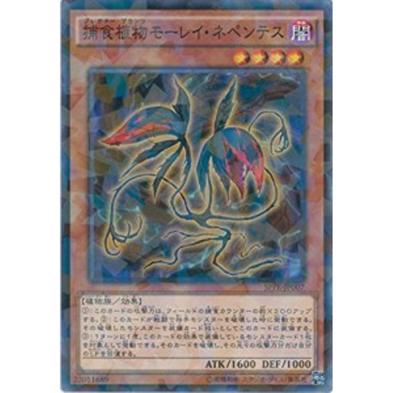 遊戯王 SPFE-JP007 捕食植物モーレイ・ネペンテス (ノーマルパラレル