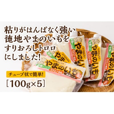 やまのいものすりおろしトロロ　100g×5個 D-340