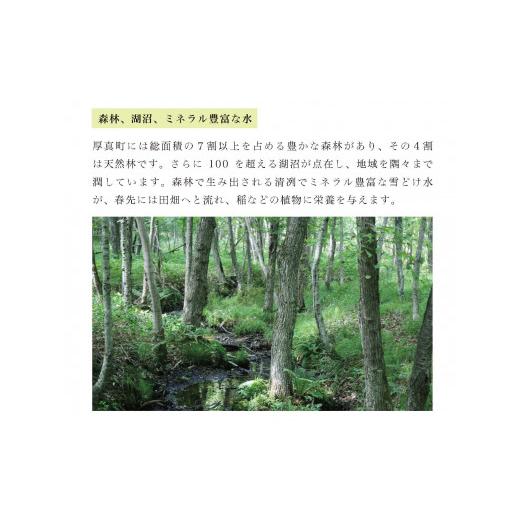 ふるさと納税 北海道 厚真町 《令和5年度産 新米》あつまこだわりのブランド「さくら米」　1年毎月5kgコース