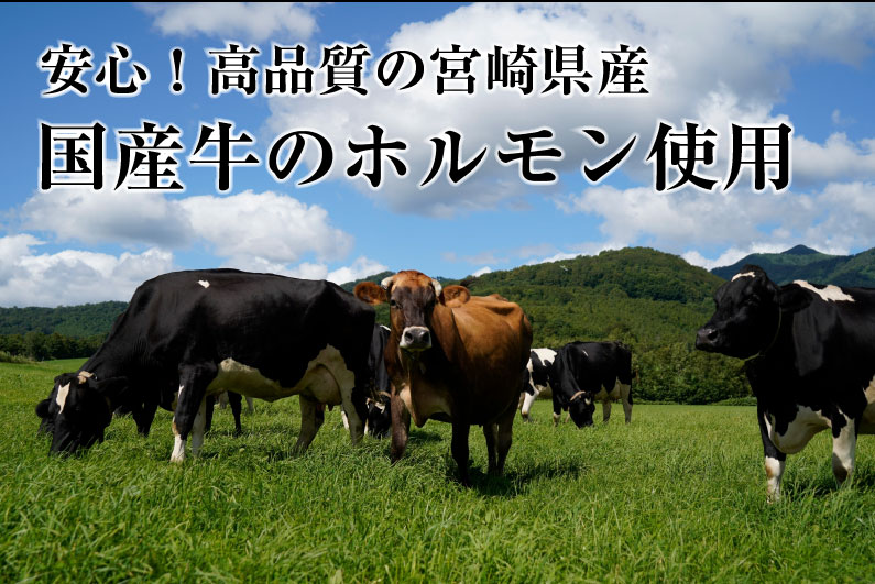 新発売 牛ホルモン 炭火焼 3袋 宮崎県産 国産牛100％ レトルト ミックスホルモン 簡単調理 おつまみ お正月 メール便