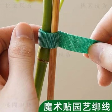 現貸隔日達531💥綠植綁帶造型魔術貼花園帶雙面粘園藝扎線捆綁帶支撐插花植物固定