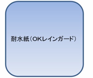 ＯＫレインガード Ａ４ Ｙ 200ｇ（172kg 100枚パック 1枚あたり58.9円)(代引不可)