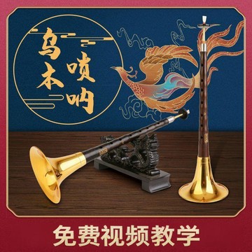 【熱銷爆款】初學者嗩吶紅木烏木黑檀木民族吹奏樂器成人入門D調中號喇叭全套