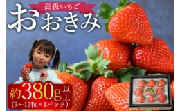 予約受付！＜高級いちご「おおきみ」（9～12粒×1パック約380g以上）＞2024年1月中旬～4月末迄に順次出荷