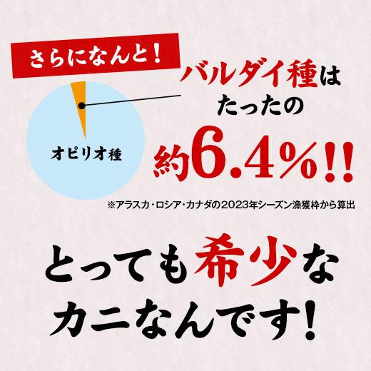 かに カニ 蟹 ズワイ ずわい 希少 大ズワイガニ 脚 たっぷり 1.6kg バルダイ種 お歳暮 2023 2024 プレゼント ギフト 送料無料 