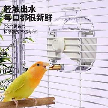 🔥今日限定特價鸚鵡 飲水器 鳥用撞針式  水壺  自動防漏大號蘆丁雞虎皮玄鳳 喂水器 用品