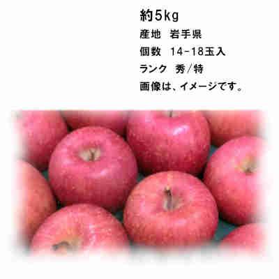 送料無料 サンふじ (高糖度)  岩手 約5kg 約14-18玉 秀 特