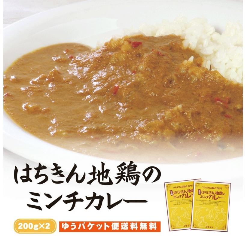 土佐はちきん地鶏のミンチカレー　200g×2袋セット 送料無料  ご当地カレー レトルト