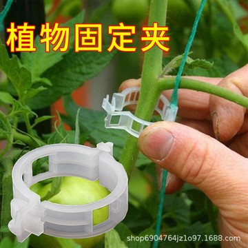 現貨 當天出貨 隔日到貨 瓜果固定扣 植物固定扣 快速卡扣 園藝用品 固定 藤蔓固定夾 枝條夾 園藝夾 E172