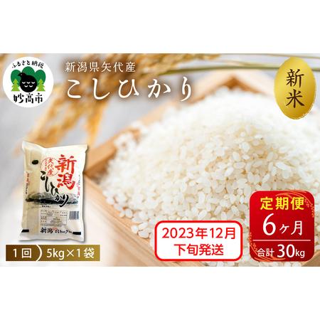 ふるさと納税 新潟県矢代産コシヒカリ5kg（計30kg）全6回※沖縄県・離島配送不可 新潟県妙高市