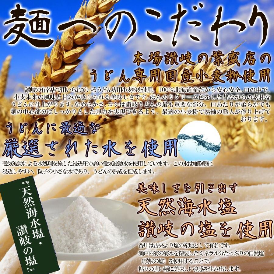 ゆうメール送料無料 鎌田醤油特製ダシ醤油6袋付き!!讃岐うどん6食分600g（300g×2袋）