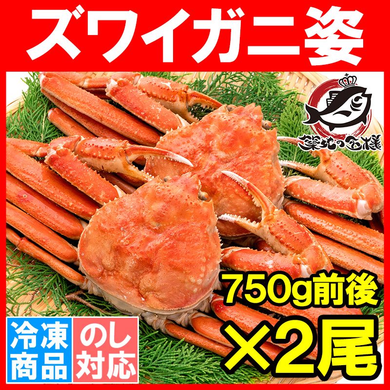 ズワイガニ 姿 1.5kg 750g前後×2尾 冷凍ゆでがに 本ズワイガニ ボイル冷凍 ズワイ蟹 ずわいがに かに カニ 蟹 ずわい蟹 かに鍋 焼きガニ おせち ギフト