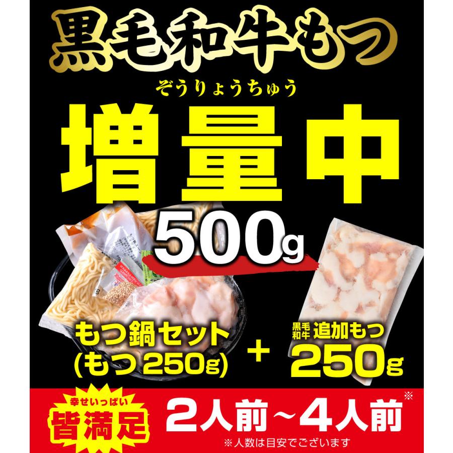 もつ鍋 取り寄せ 黒毛和牛 もつ鍋セット 博多 名物 味噌 醤油おまけ付 2〜4人前 計500g 送料無料