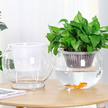 🌸限時折扣🔥【新款上市】透明花瓶 花器 特大號水培植物玻璃瓶透明水養綠蘿花瓶花盆圓形容器魚缸器皿擺件