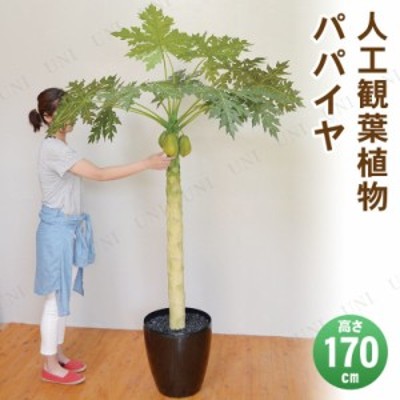 フェイクグリーン 光触媒 オリーブ 170cm 【 消臭 人工観葉植物