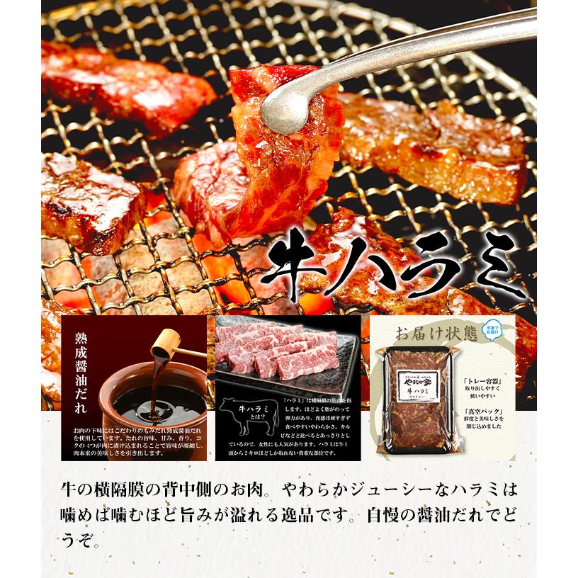 焼肉パーティーセット1.2kg(K3-012)