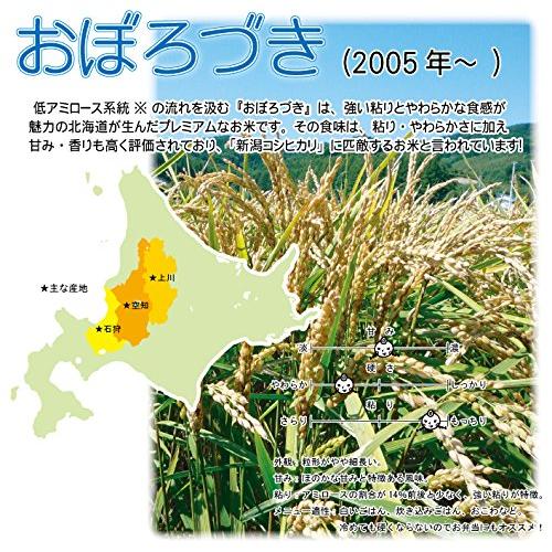 令和4年産　おぼろづき　白米　5kg　北海道産